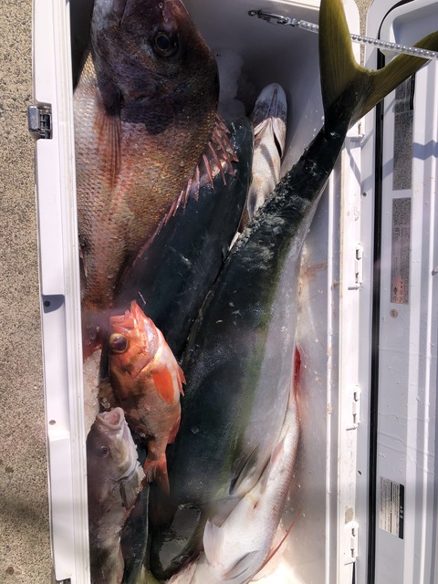 9D6B30FE-3899-409F-8B1F-265CB69F5002