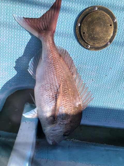 551CE1DC-E385-4027-9004-10F08CDC5F54