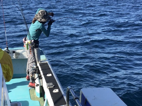 618F7883-4B37-4DEF-BB75-59F2F6530210