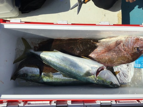 58547B63-A8D3-4374-8942-2A1B83875B6D