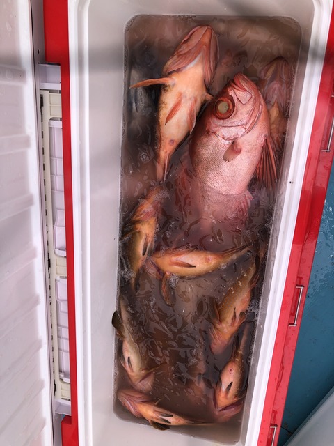 B4B37B6D-94C0-41EC-B799-893A9B85DE32