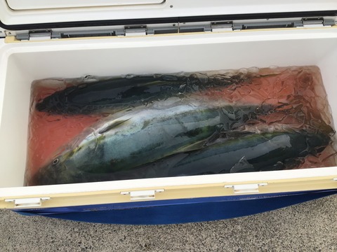 FE58B88B-1BC5-4D89-BF28-EF539940C3D7