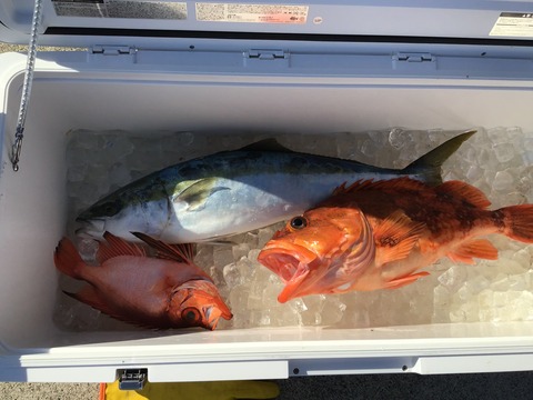 436F554E-40F2-4802-85ED-C252CBD4529A