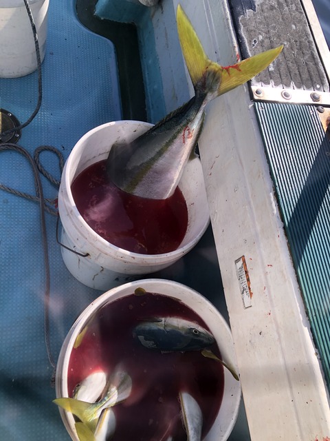 E0CBC8A4-938E-4F86-A25B-A96913310FC2