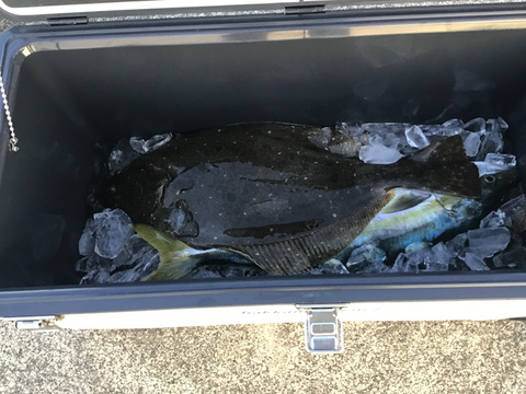 116296AD-F271-4ED3-9C69-3399AC9535AC