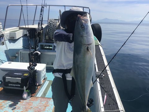 FDFD2B69-2E12-4D41-9B76-3037DCA8D19A