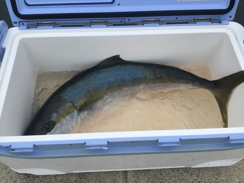 9BC5F03E-EE4F-463A-B8BD-64B1E4321F43