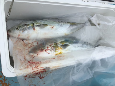 BC8F7AB0-EC35-4CB5-A210-89630A686707