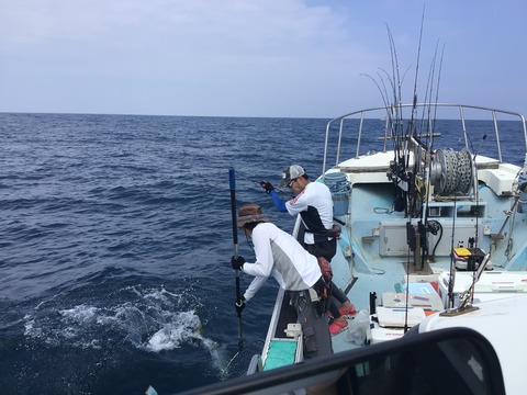 5E4388D1-B5E2-4886-ABD4-5382465F936B