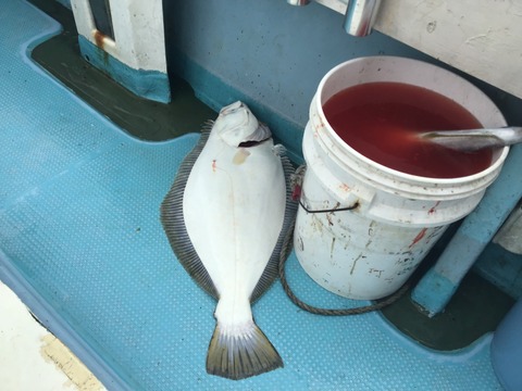 76C042C6-BD71-476F-9F8C-A485DE9F07A5