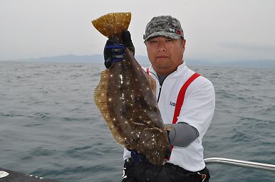 イメージ 3