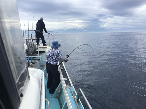 8FC7568B-49D0-4A2D-9E4E-C9AB1855A1F7