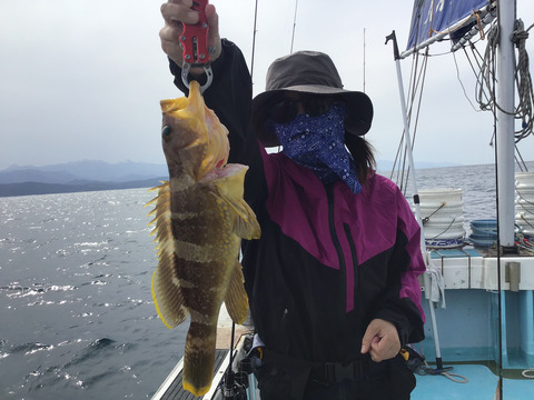 FF876872-2E4C-47D8-B8AC-E887DCC2FBAC