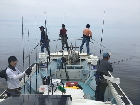 86B54D5E-0A01-4739-85A1-36F5811C1778