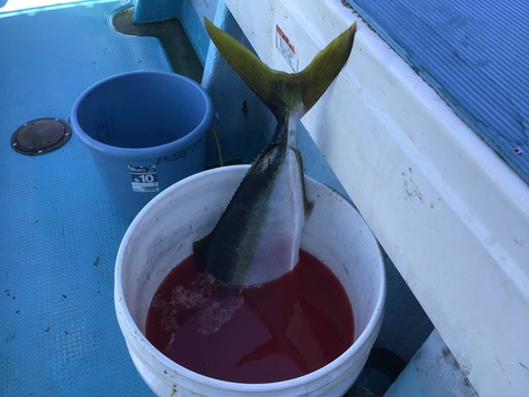 998B8012-6BCC-421E-94AD-3910103A7D49