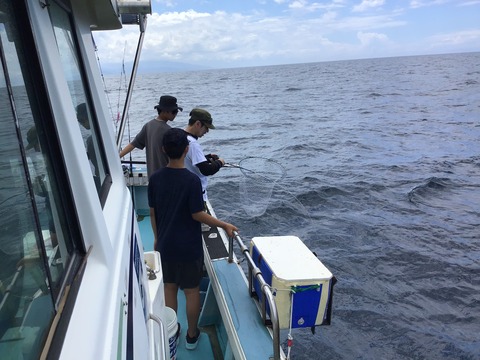 3C6029EA-6770-47FC-AC5B-D02FC1AD4283