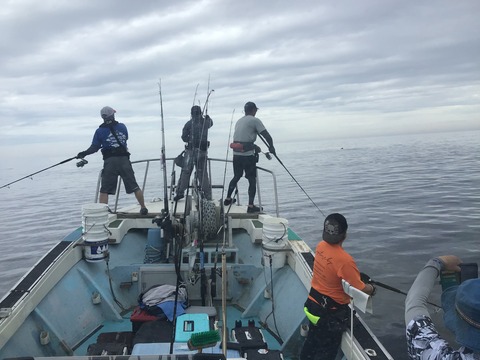 D017C08C-D35D-4971-BF64-4A2F252C9F1E