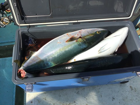 969E4697-8F9B-4CE4-8D8D-EB20F65CE3C6