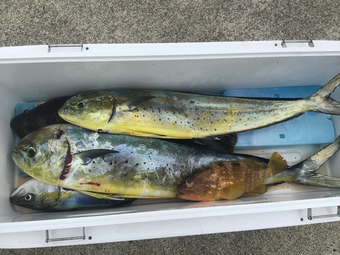 1046AF62-78F6-4908-B884-84304F79D9B6