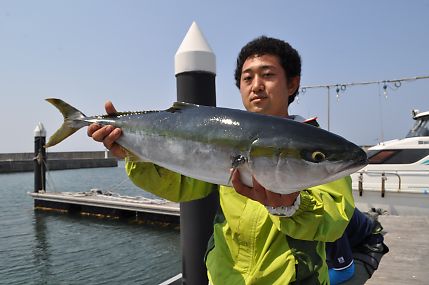 イメージ 8