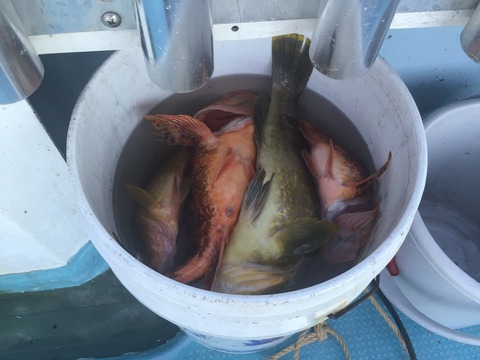 AF2AA5A6-3E7A-4082-B5CE-F85E6D139DE8