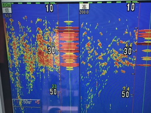 91E0D9BE-8182-4C7B-986E-A5D8198C2915