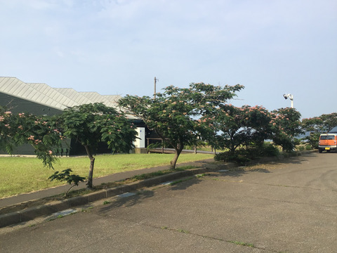 03AD7C6C-D200-4865-B29F-3E939CD51D1E