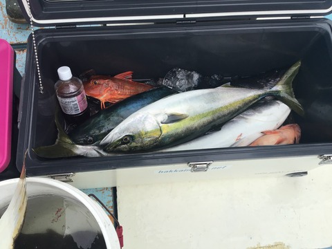 F4BB748A-76E3-4ED2-8AEB-2C27A57F6726