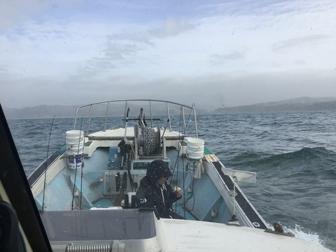 A731D1E1-ACF4-4172-AA24-06EA87C20066