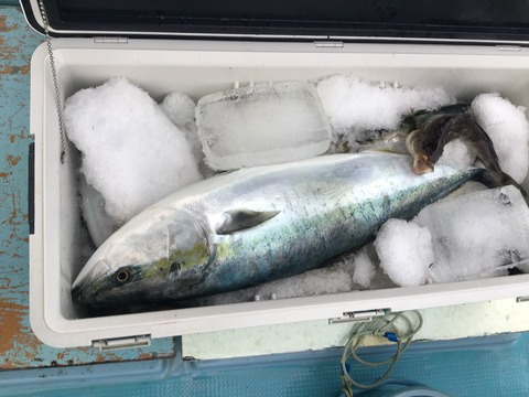 B783F27A-E50A-4817-8685-B9DDE036E905