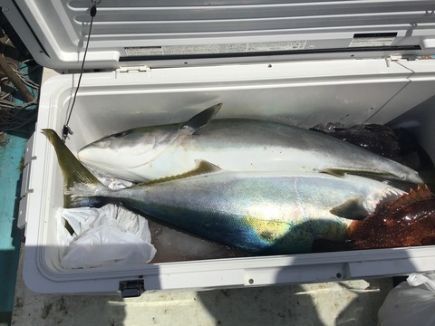 CA0CABB4-4CB4-41DA-B124-168819BD9B67