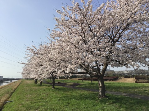 5729D197-21F0-49F5-A083-AC789C42C5C8