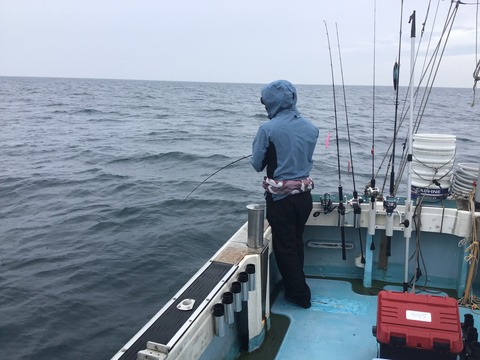 D1FC57A3-2EC3-472B-9D41-9AB46B32ECF1