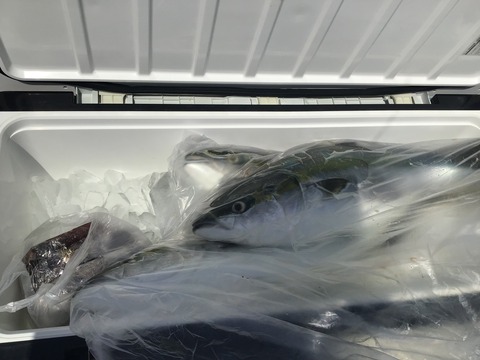 6E1AEC2A-0B97-4BCC-B803-5DC0024E84BC