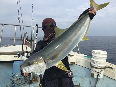 8760A567-577E-448A-84F6-1CA8A1096593