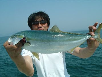 イメージ 2