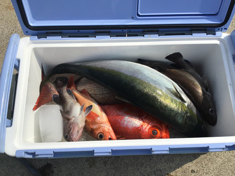 18B27284-32F4-417B-897D-FBC2B59D88BE