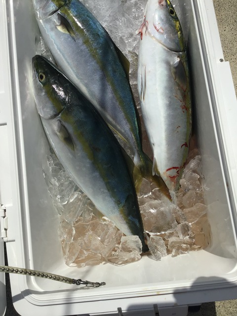 F7750475-C04E-40C1-A2F8-991500C45128