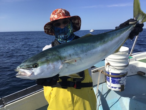 D694E370-FA14-455C-AA67-10BB9D8174FA