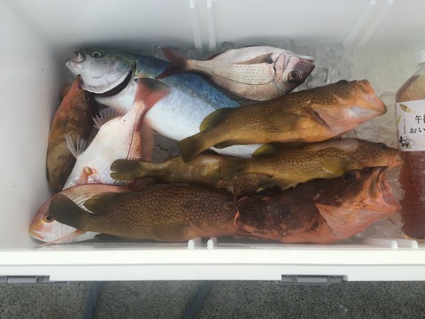 B79A5332-FCAC-44ED-BAFC-0602BB58A1AE