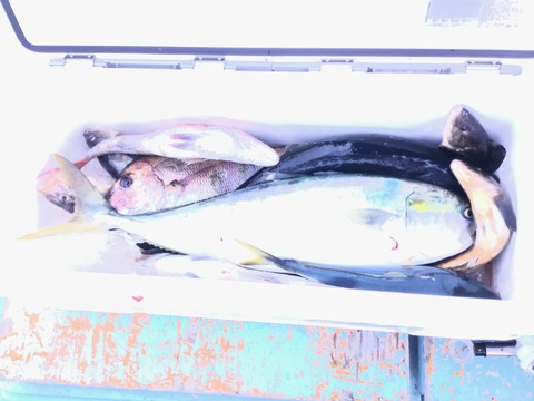 EEE12CF9-E8FD-457B-92FE-C89D5467FE51