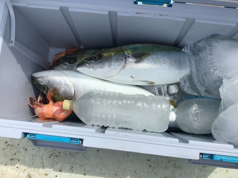 CB6A8CFD-D0AA-4DAA-9FA4-6AEA114BFB30