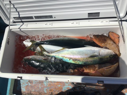 F00029BA-0FA3-4FE3-B764-70AEBE58AB7E