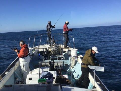 64DEC144-B38B-4454-98D0-2A0131101BB9