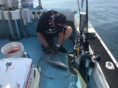 E18DD996-20BB-4B10-8AF3-775B07BEA107