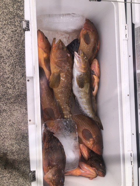 E964287C-7DAD-424C-A595-C3167A360E13