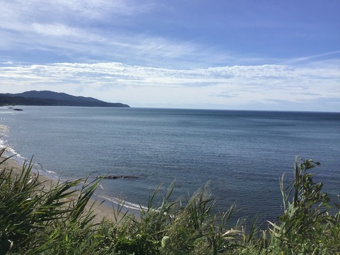 D12EF95A-5691-49DB-AF7E-315AFA4FEE6D