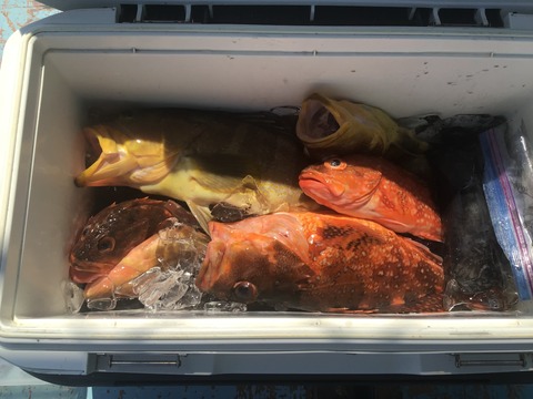 9B26A1AD-1A95-4E87-963E-204831FCB568