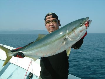 イメージ 1