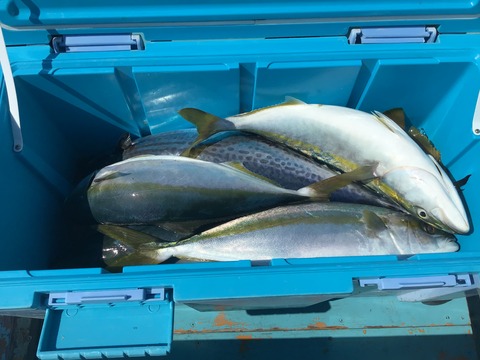 3D5569FC-85B5-45F3-961D-48E7DB05902C